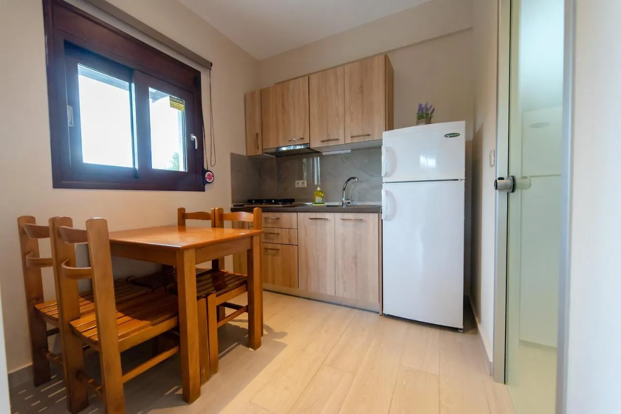 Villa Diamantis Apartments Hanioti Grecja